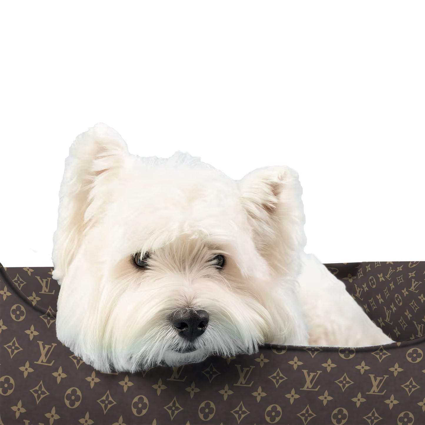 Louis Vuitton Printed Pet Bed - Removable & Washable, Custom, Puppy Mat Dog, Pet Large Sofa, Dog Accessories, Small Dog Bed, Modern Dog Bed