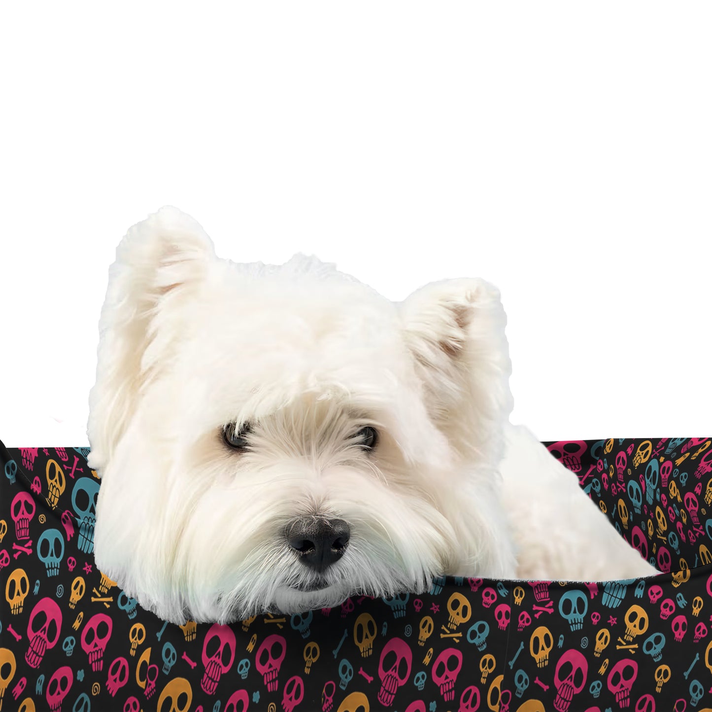 Gothic Style Pet Bed - Removable & Washable, Custom, Puppy Mat Dog, Pet Large Sofa, Dog Accessories, Small Dog Bed, Modern Dog Bed